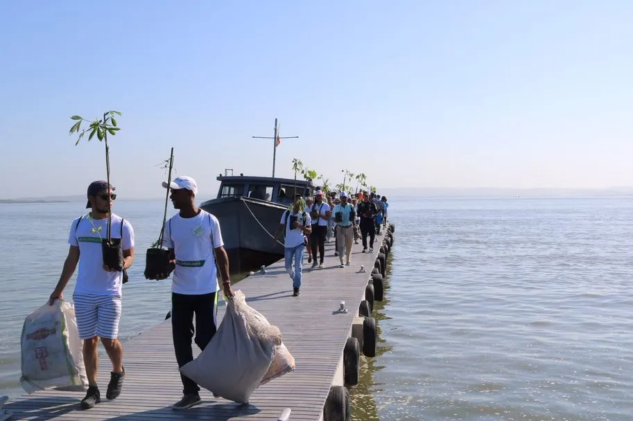 Zona Azul — Actividades permanentes COP16