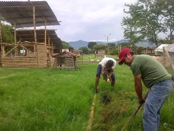 Zona Verde — Programación académica, artística y litúrgica